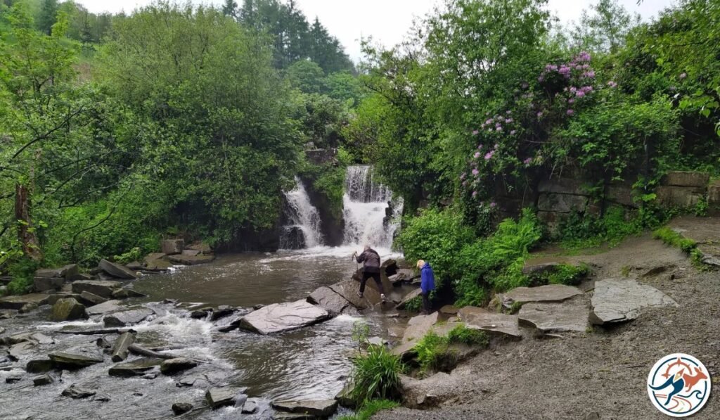 Swansea Nature Reserve