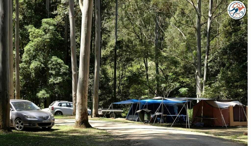 Parking area at Chichester State Forest