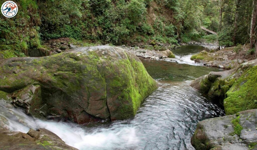 The allyn river surrounded by granite boulders and dense trees