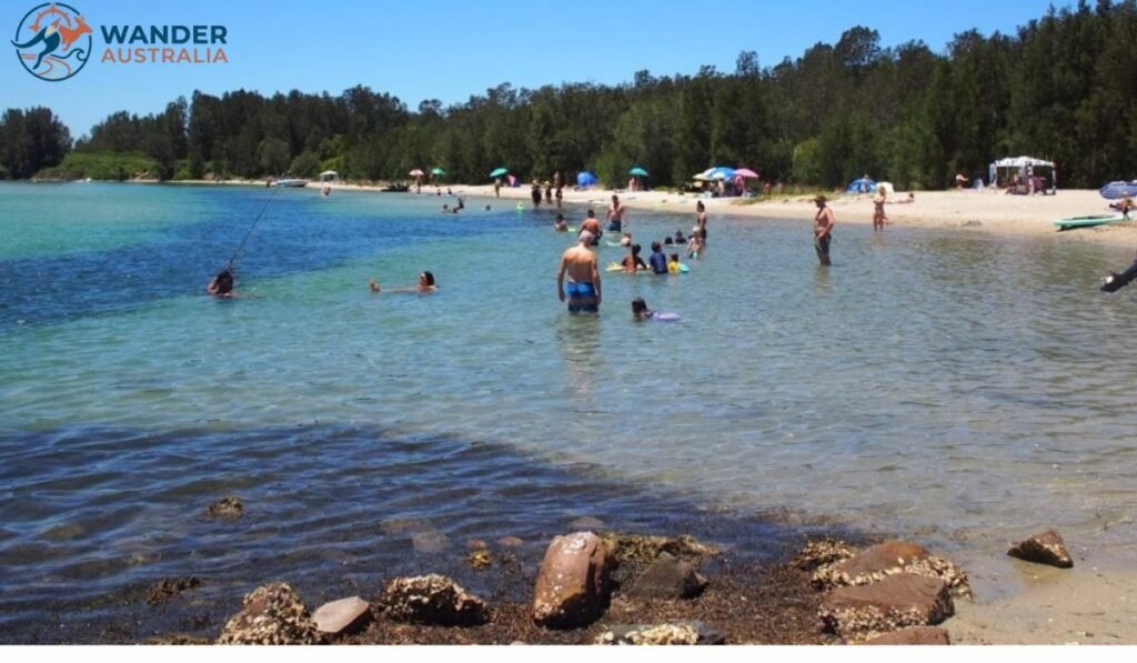 Naru beach Lake Macquarie - breathtaking views of the serene lake image
