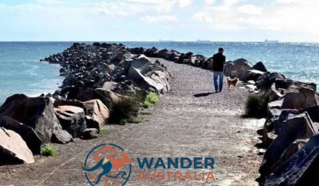 breakwall along swansea channel image