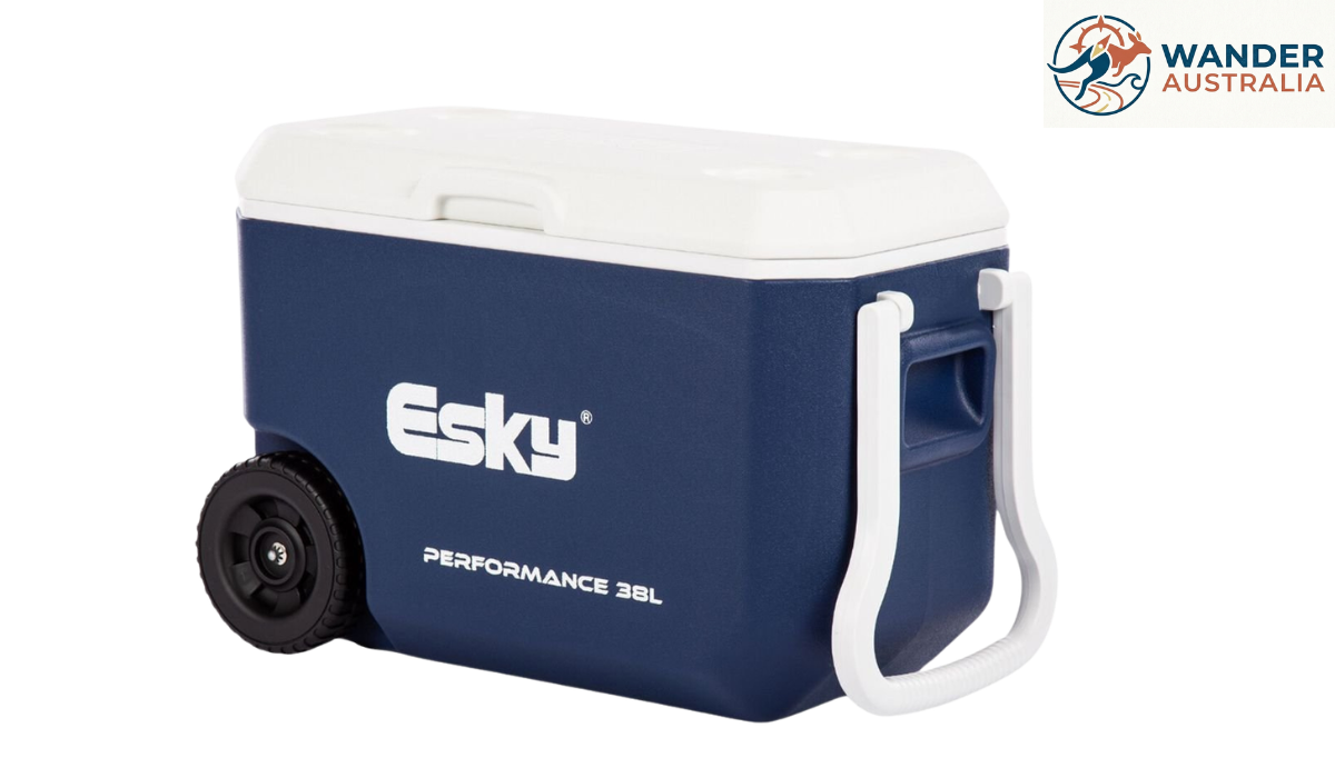Top 10 Best Esky Coolers in Australia 2026