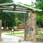 1000 Steps Dandenong Ranges