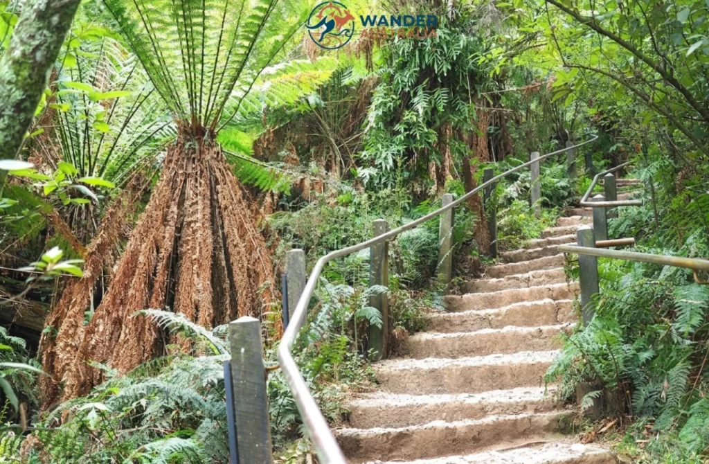 Stone steps on the 1000 Steps Kokoda Track Memorial Walk