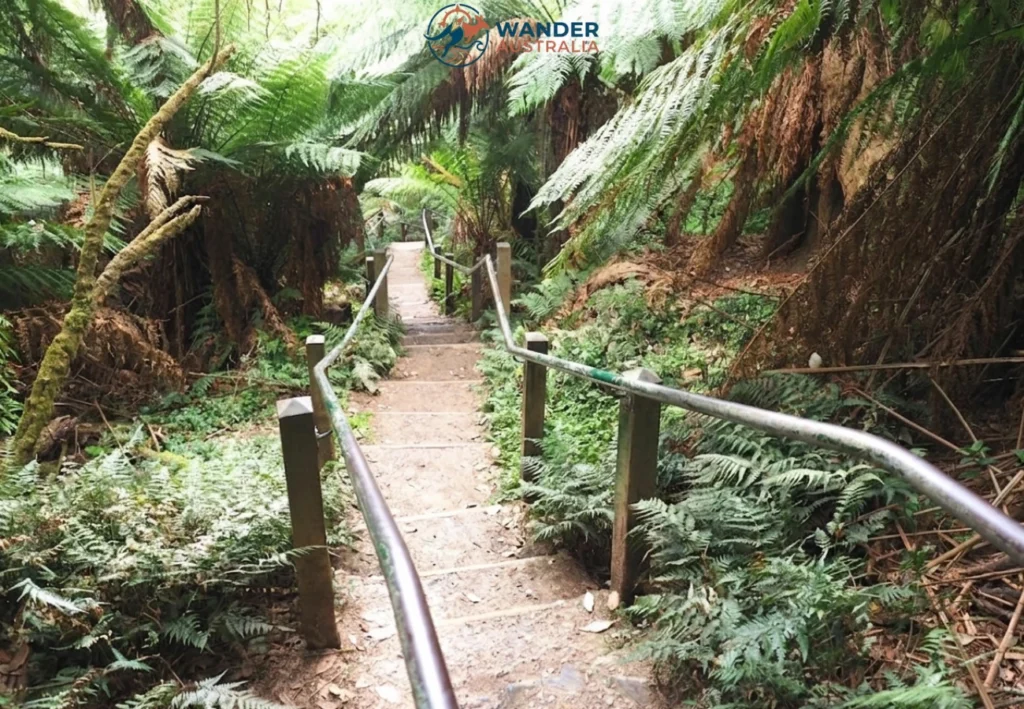 Steep steps on the 1000 Steps Kokoda Track Memorial Walk