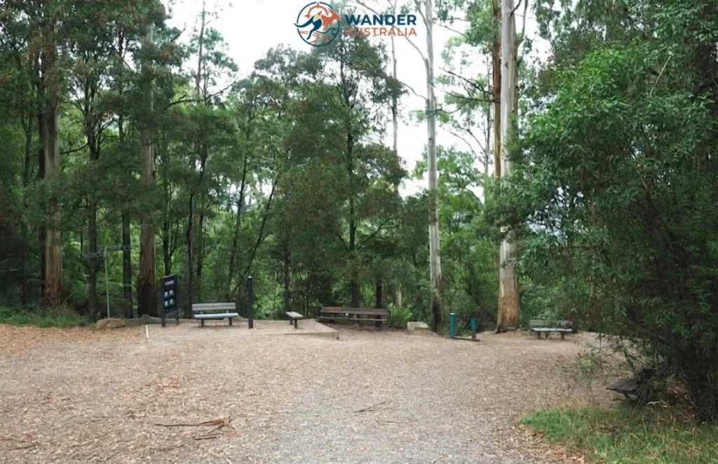 One Tree Hill at the 1000 Steps Kokoda Track Memorial Walk