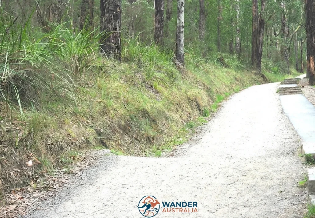 Lyrebird Track return path at the 1000 Steps