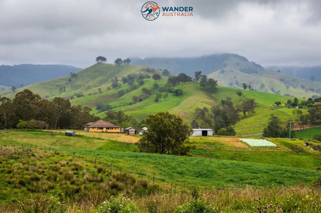 Rolling green hills and farmland near Gresford NSW Australia image