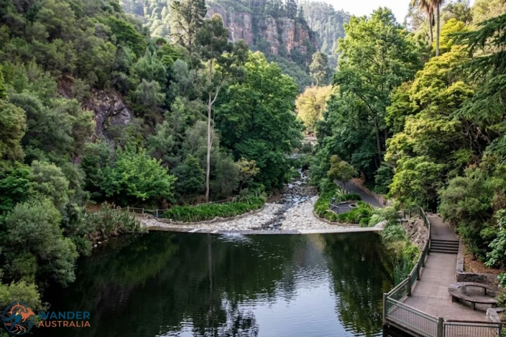 Mount Lofty Botanic Gardens lake and walking path