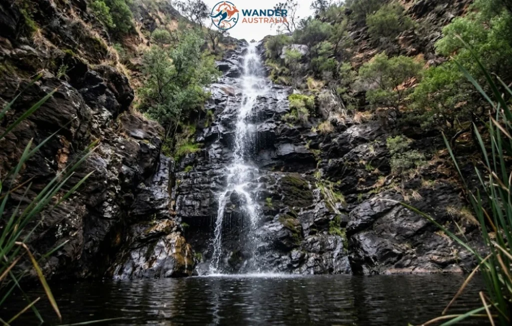 Waterfall Gully Falls on the Mount Lofty trail