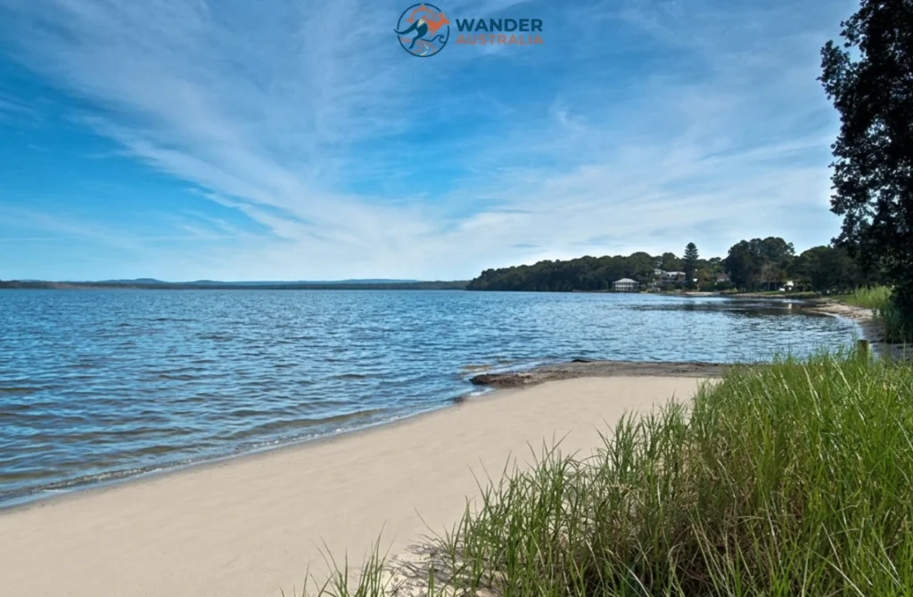 Lake Munmorah shoreline in Munmorah State Conservation Area image