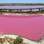 Westgate Park Pink Lake