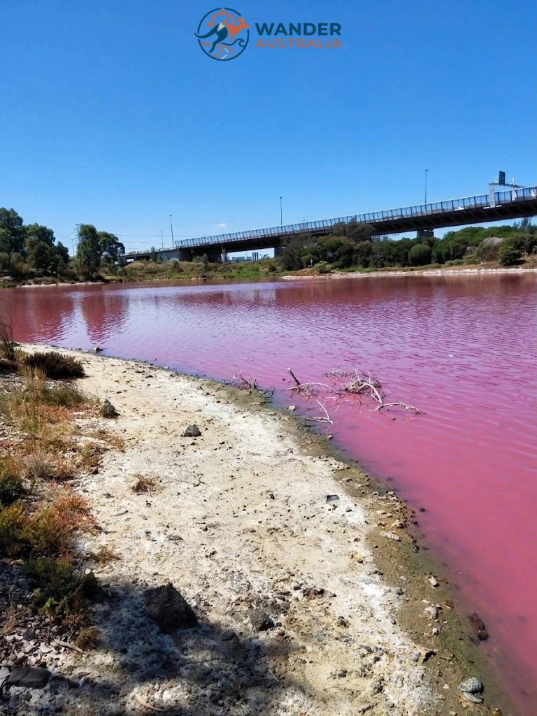 Shoreline view of Westgate Park Pink Lake beneath the West Gate Bridge in Melbourne