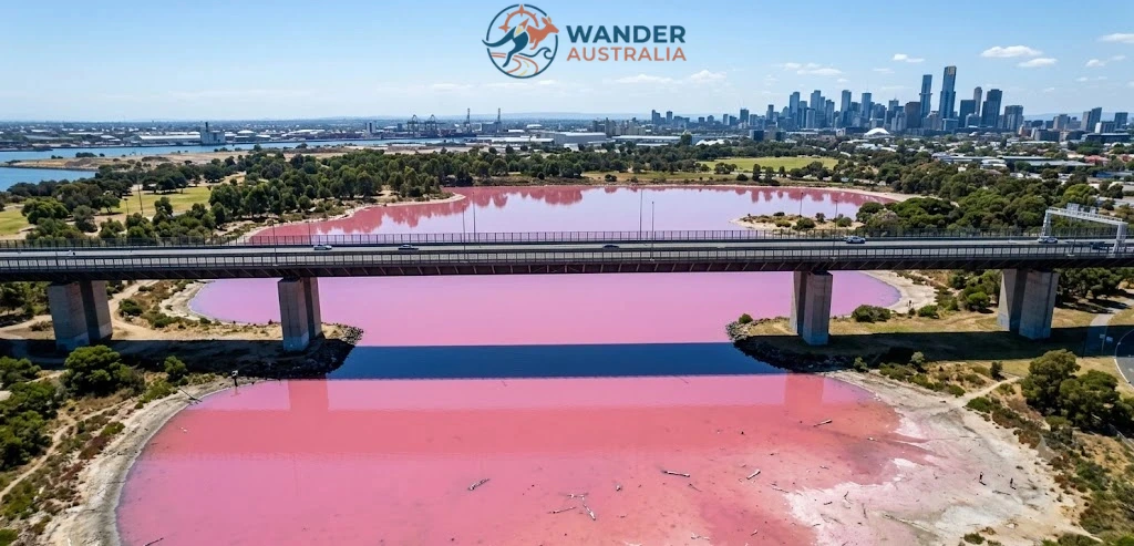 Aerial view of Westgate Park Pink Lake beneath the West Gate Bridge in Melbourne