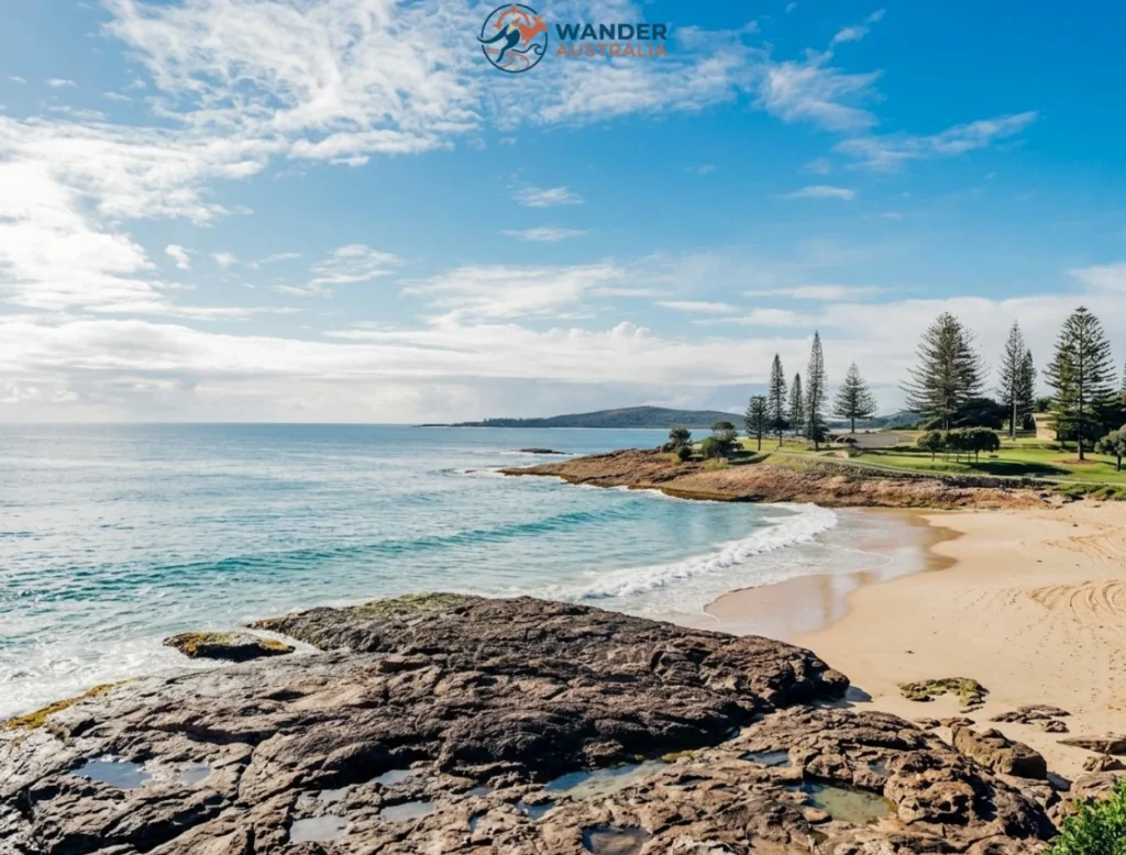 Rocky shoreline and Norfolk pines overlooking Horseshoe Bay image