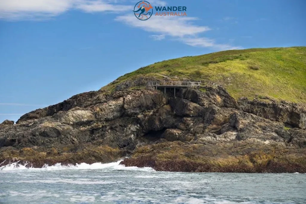 Muttonbird Island Coffs Harbour image