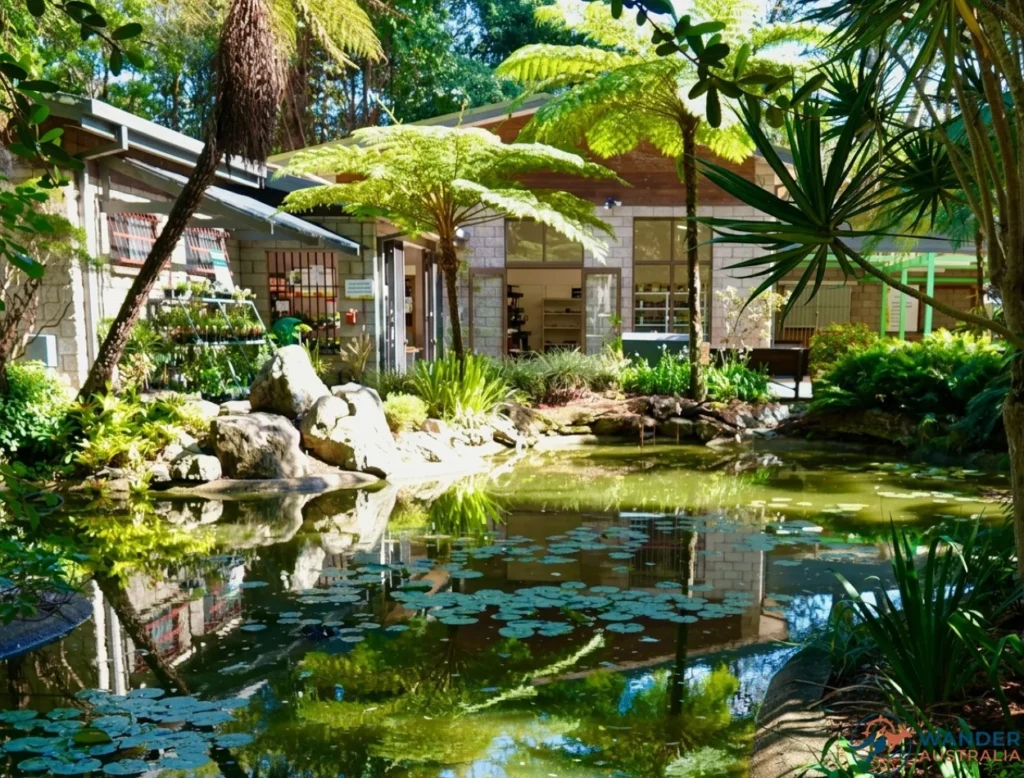 Coffs Harbour Botanic Garden image