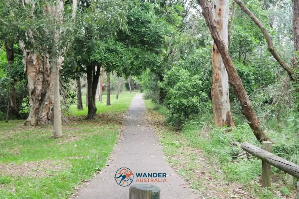 Owens Walk through Redhead bushland image