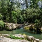 Paterson NSW Australia river image